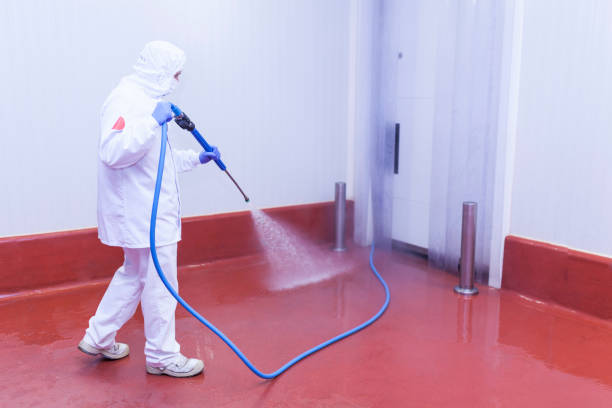 Animal Enclosure Cleaning in Uhland, TX